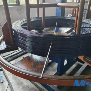 Carbon steel wire